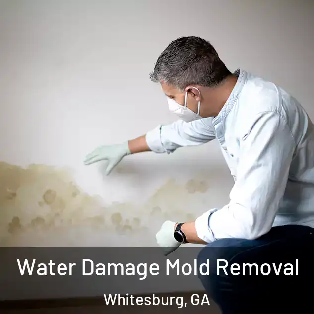  Water Damage Mold Removal Whitesburg, GA