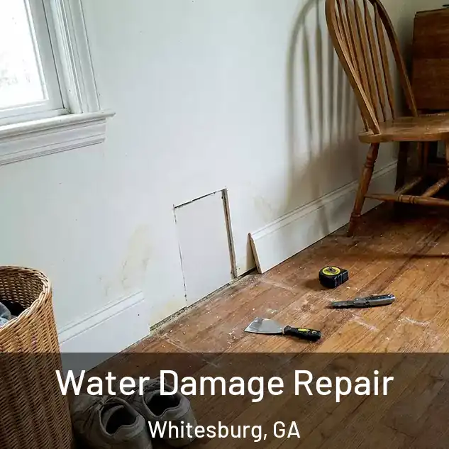  Water Damage Repair Whitesburg, GA