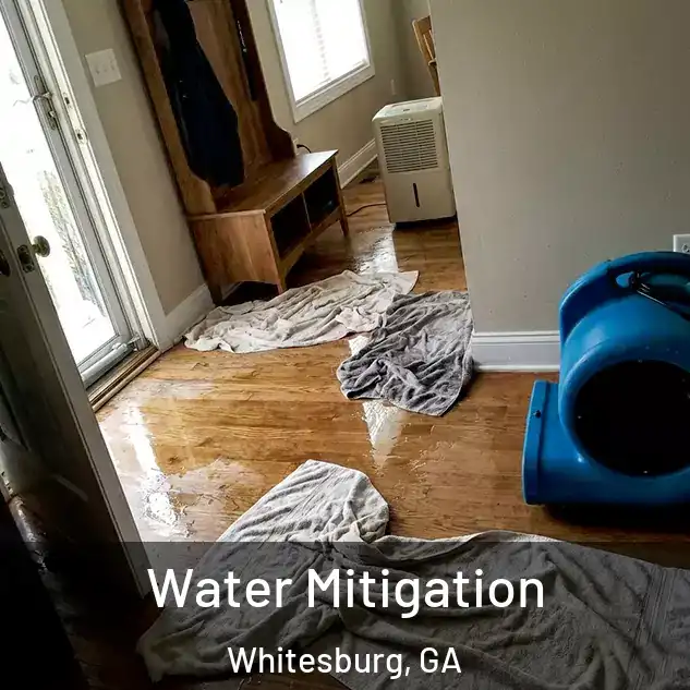  Water Mitigation Whitesburg, GA