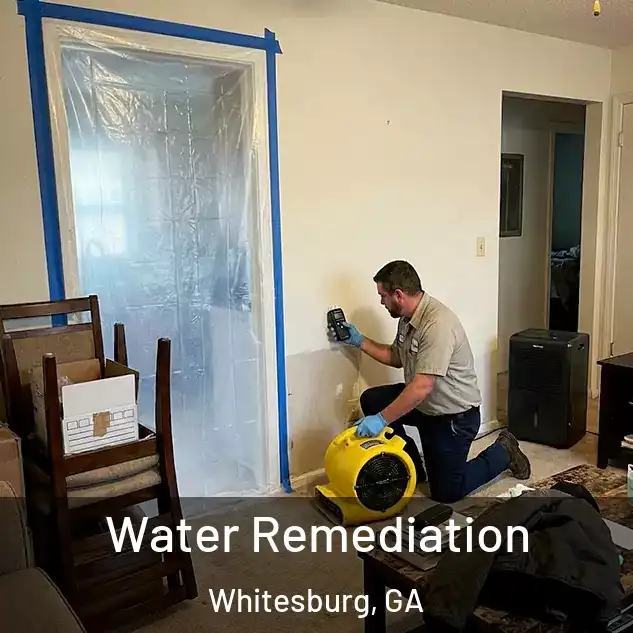  Water Remediation Whitesburg, GA