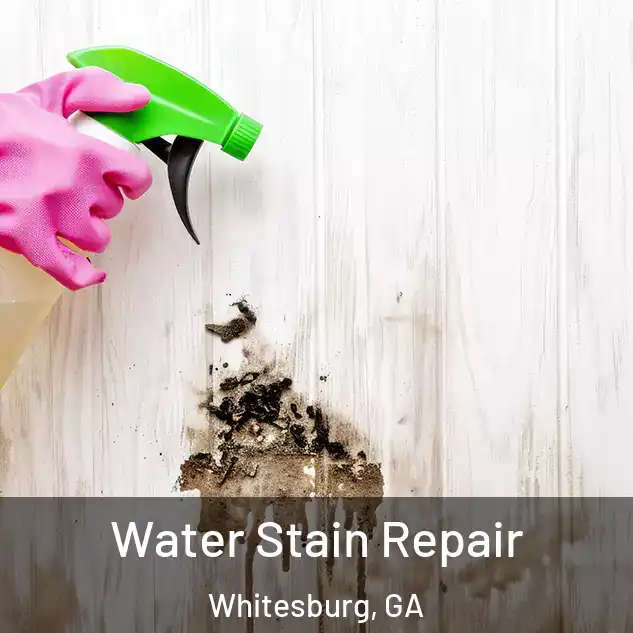  Water Stain Repair Whitesburg, GA