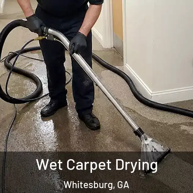  Wet Carpet Drying Whitesburg, GA