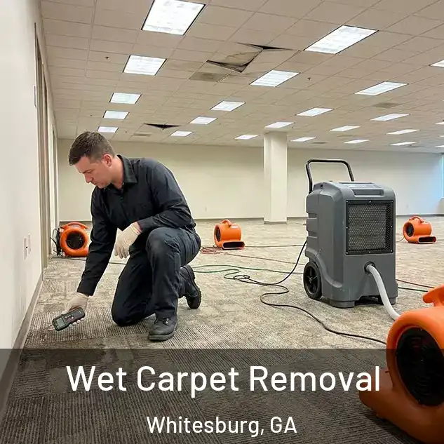  Wet Carpet Removal Whitesburg, GA